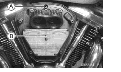 Air cleaner with the cover off, callouts marking the element retaining screw and the viscous paper element in the airbox between the throttle bodies.