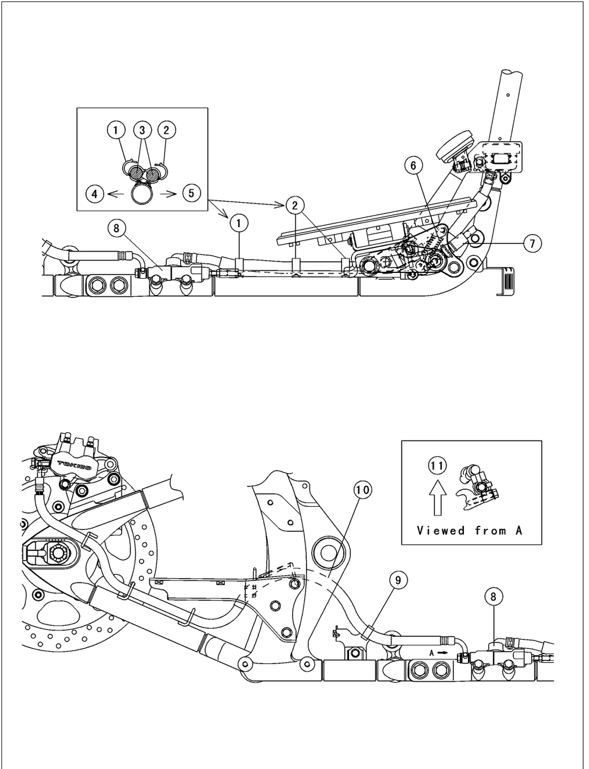 Rear-brake-hose routing plate showing the hose run from the rear master cylinder past the brake-light switch and between the swingarm and frame to the caliper, with clamp callouts.